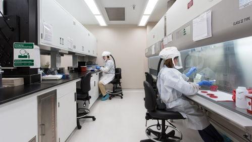 川普爆料生物实验室视频,视频揭秘惊人真相 第2张 川普爆料生物实验室视频,视频揭秘惊人真相 第2张