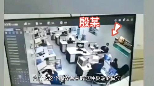 长安内部爆料事件视频,揭秘事件背后惊人真相