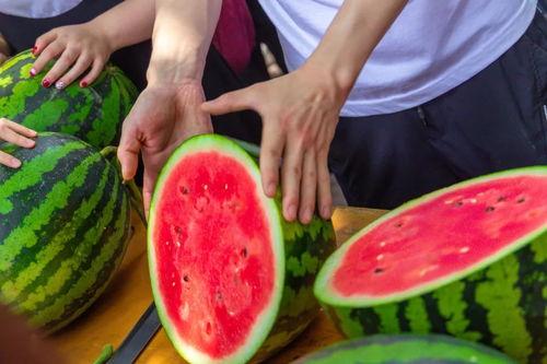 吃瓜免费观看,揭秘热门事件背后的真相  第2张 吃瓜免费观看,揭秘热门事件背后的真相  第2张