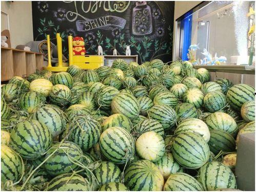 吃瓜免费观看,揭秘热门事件背后的真相  第3张 吃瓜免费观看,揭秘热门事件背后的真相  第3张