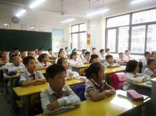 慈溪小学爆料新闻最新,校园事件引发社会关注  第2张 慈溪小学爆料新闻最新,校园事件引发社会关注  第2张