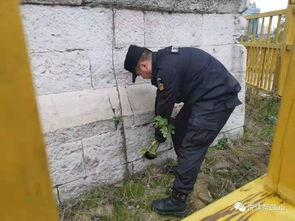 最新爆料林先生的事件,最新爆料揭示惊人真相  第3张 最新爆料林先生的事件,最新爆料揭示惊人真相  第3张